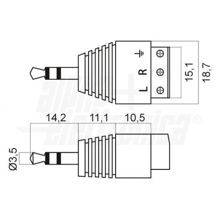 JACK MASCHIO a morsetto