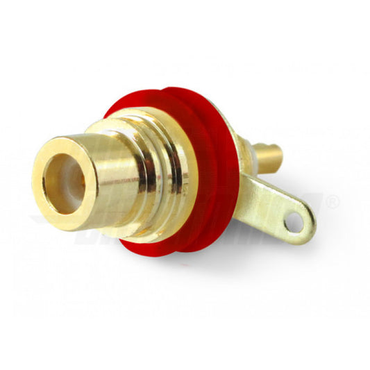 Presa RCA Dorata