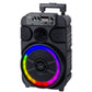 TREVI Altoparlante Trolley Amplificato 0X046000