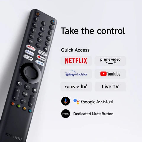 Telecomando XIAOMI 53900401 163K1K1000096A